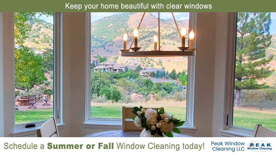 Residential Window Cleaning (Photo)