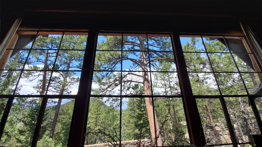 Residential Window Cleaning (Photo)